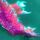 Mermaid tail Pink Dragon