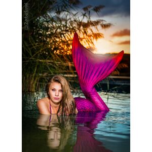 Zauberkugel Mermaid Shooting