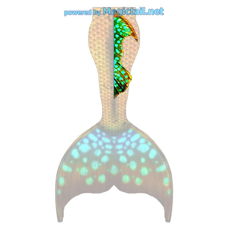 Tropical Glow M dorsal fin

