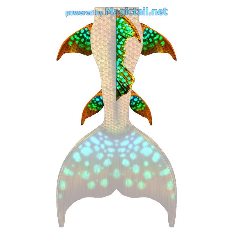 Tropical Glow M dorsal, hip and lower fins

