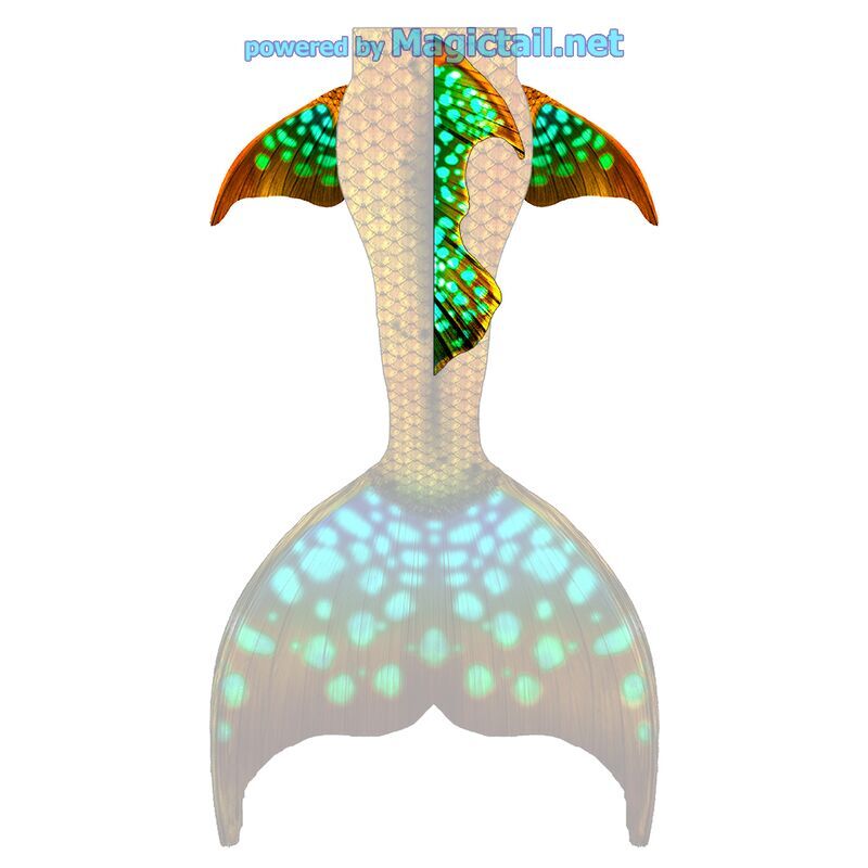 Tropical Glow XL dorsal and hip fins

