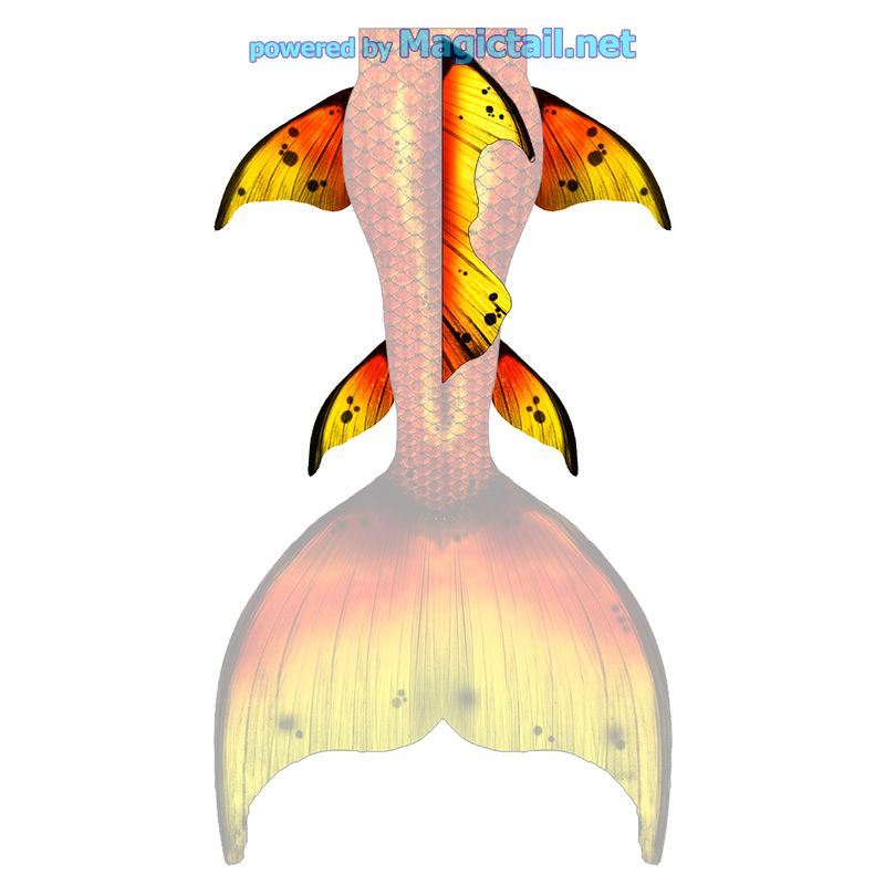 Gold Splash M dorsal, hip and lower fins

