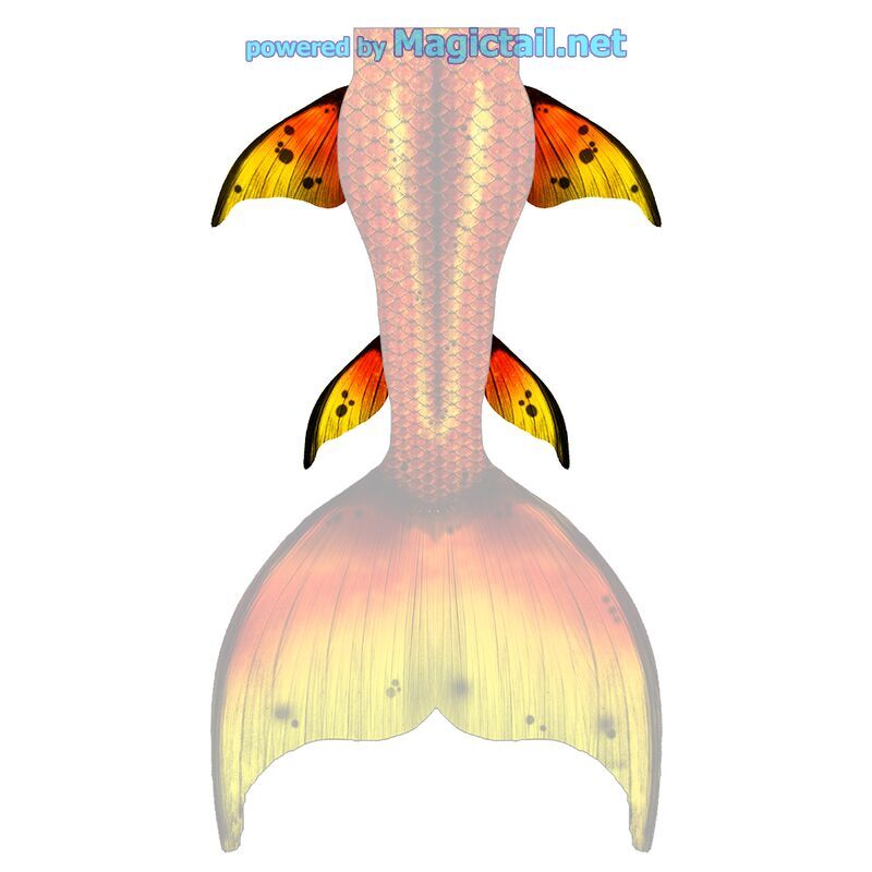 Gold Splash L hip and lower fins

