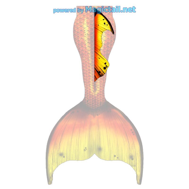 Gold Splash L dorsal fin

