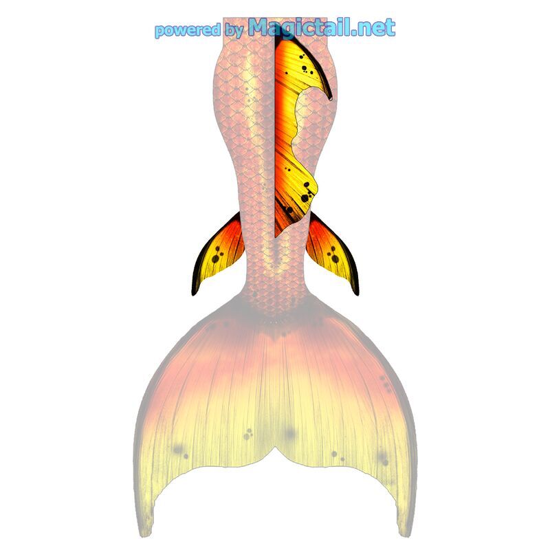 Mymphea L dorsal and lower fins

