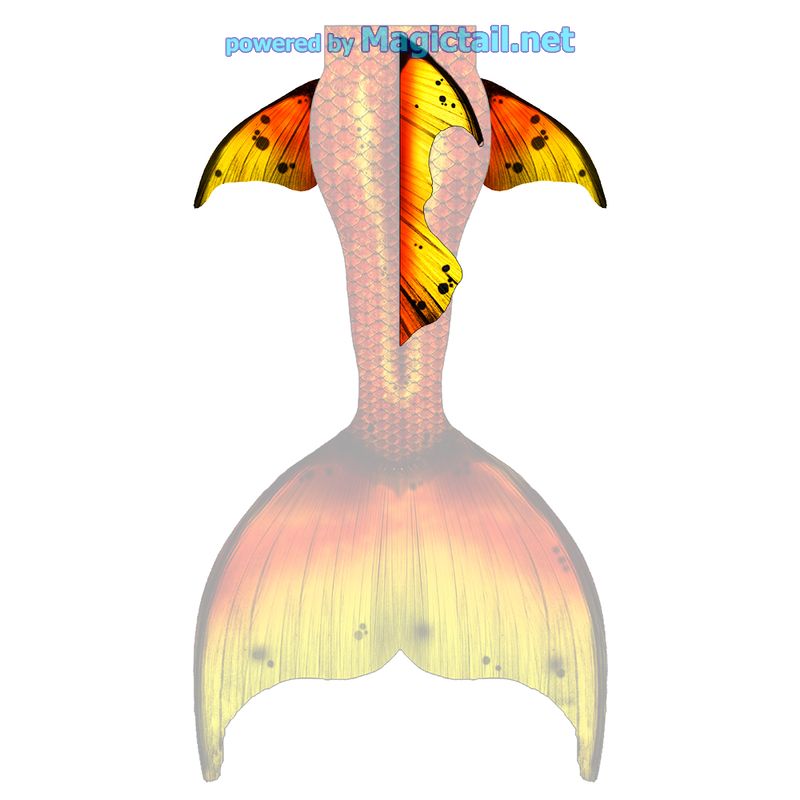 Gold Splash XL dorsal and hip fins

